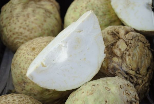 Seler - właściwości odżywcze i zdrowotne