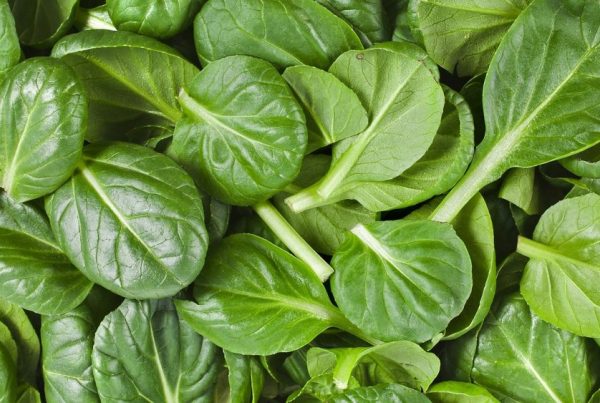 Szpinak - właściwości odżywcze i wpływ na zdrowie
