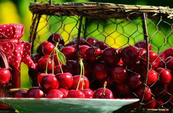 Wiśnie - właściwości odżywcze i zdrowotne